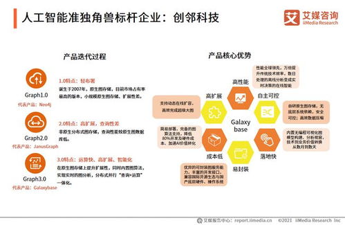 2021年中國(guó)AI獨(dú)角獸與準(zhǔn)獨(dú)角獸標(biāo)桿案例分析 知識(shí)產(chǎn)權(quán)服務(wù)的戰(zhàn)略支點(diǎn)與創(chuàng)新實(shí)踐