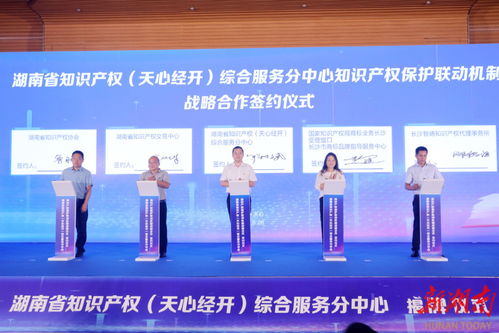 湖南知識產(chǎn)權服務再添新引擎 天心經(jīng)開綜合服務分中心正式揭牌